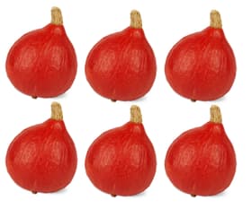 Zucca ornamentale Hokkaido (set di 6) Decorazione autunnale Zucca ornamentale Hokkaido (set di 6) Decorazione autunnale 650365100000 N. figura 1