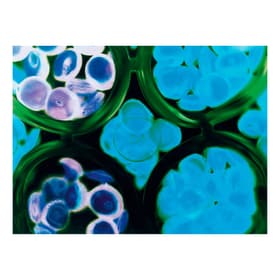 D4 Quadro D4 Quadro 384028900000 N. figura 1