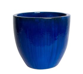 Do it + Garden Vaso in terraglia Pham, royal blue Vaso in terraglia Pham, royal blue Do it + Garden 659733100023 Colore Blu Taglio ø: 23.0 x A: 20.0 N. figura 1