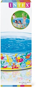 Tropical Reef Pool