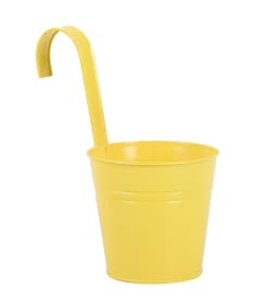 Do it + Garden Hängetopf mit Haken Zinktopf Hängetopf mit Haken Zinktopf Do it + Garden 657980100006 Farbe Gelb Grösse L: 14.0 cm x B: 10.0 cm x H: 12.0 cm Bild Nr. 1