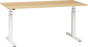 FLEXCUBE HOME Scrivania FLEXCUBE HOME Scrivania 401882300000 Dimensioni L: 140.0 cm x P: 80.0 cm x A: 64.5 cm Colore quercia chiara N. figura 1