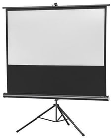 Celexon Eco Stativ 16:9 (184x104cm) Stativleinwand Eco Stativ 16:9 (184x104cm) Stativleinwand Celexon 785300123569 Bild Nr. 1
