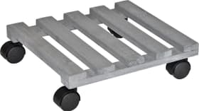 Pflanzenroller Kreo