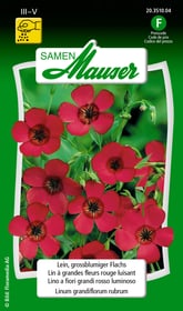 Lin à grandes fleurs rouge luisant Semences de fleurs Samen Mauser 650104901000 Contenu 2.5 g (env. 70 plantes ou 5 - 7 m²) Photo no. 1