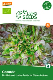 Insalata di foglie di quercia verde, Cocarde Sementi di verdura Living Seeds 650256100000 N. figura 1