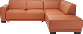 KRÜGER Ecksofa KRÜGER Ecksofa 405715800000 Grösse B: 258.0 cm x T: 219.0 cm x H: 77.0 cm Farbe Cognac Bild Nr. 1