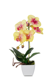 Orchidee Kunstblume Do it + Garden 658955800000 Bild Nr. 1