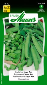Pois croquant Sugar Ann Semences de legumes Samen Mauser 650110202000 Contenu 80 g (env. 6 - 7 m²) Photo no. 1