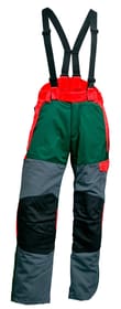 Pantalon forestier 56 Pantalon forestier 56 602849200000 Photo no. 1