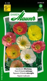 Pavot d'Islande mélange Semences de fleurs Samen Mauser 650105901000 Contenu 0.1 g (ens. 100 plantes ou 3 - 4 m²) Photo no. 1