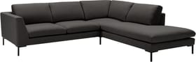 NEWTON Ecksofa NEWTON Ecksofa 405794750484 Grösse B: 262.0 cm x T: 242.0 cm x H: 80.0 cm Farbe Anthrazit Bild Nr. 1