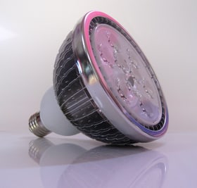 GrowLight Standard Lampe pour plantes 631331300000 Photo no. 1