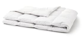 OPTIMADAUN medium warm Warmes Ganzjahresduvet mit 60% Daunen OPTIMADAUN medium warm Warmes Ganzjahresduvet mit 60% Daunen 451745612410 Farbe Weiss Grösse B: 160.0 cm x T: 240.0 cm Bild Nr. 1