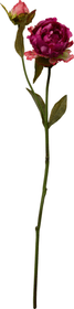PAEONIA Pianta artificiale PAEONIA Pianta artificiale 440775400000 N. figura 1