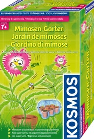 Mimosen-Garten Alarm im Gewächshaus