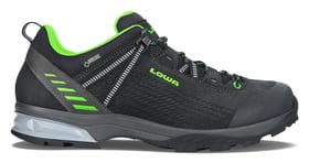 Arco GTX Lo