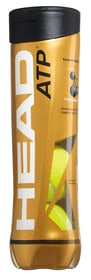 Head ATP