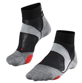 BC5