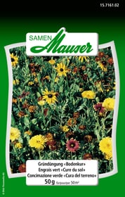 Samen Mauser Gründüngung Bodenkur 50 g Blumensamen Gründüngung Bodenkur 50 g Blumensamen Samen Mauser 650117200000 Bild Nr. 1