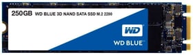 Western Digital Blue 3D NAND SSD M.2 250Go Disque Dur Interne SSD Blue 3D NAND SSD M.2 250Go Disque Dur Interne SSD Western Digital 785300124423 Photo no. 1