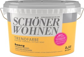 Schöner Wohnen Trendfarbe Matt Honey 2.5 l Wandfarbe Trendfarbe Matt Honey 2.5 l Wandfarbe Schöner Wohnen 660907300000 Inhalt 2.5 l Bild Nr. 1