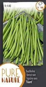 Do it + Garden Buschbohne Fleuret 50g Gemüsesamen Buschbohne Fleuret 50g Gemüsesamen Do it + Garden 287107500000 Bild Nr. 1