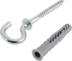 fischer Universaldübel UX 8 x 50 inkl. Rundhaken Universaldübel UX 8 x 50 inkl. Rundhaken fischer 605431200000 Bild Nr. 1