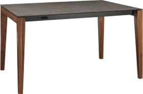 MEDICI Table MEDICI Table 402385115016 Couleur Grigio Struttura Dimensions L: 150.0 cm x P: 90.0 cm x H: 75.0 cm Photo no. 1