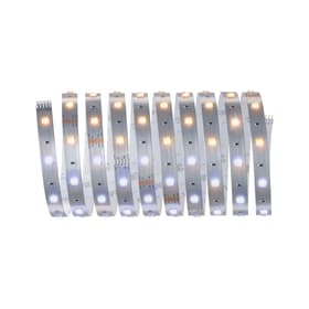Paulmann MaxLED 250 Basisset 3 m, Tuneable White Light-Strip MaxLED 250 Basisset 3 m, Tuneable White Light-Strip Paulmann 615139100000 Bild Nr. 1