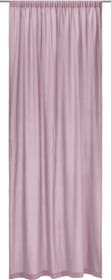 CANDELA Rideau prêt à poser opaque CANDELA Rideau prêt à poser opaque 430271521846 Couleur Vieux rose Dimensions L: 150.0 cm x H: 260.0 cm Photo no. 1