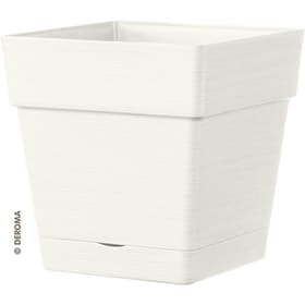 Deroma Save R Pot à fleurs Save R Pot à fleurs Deroma 658614300000 Couleur Blanc Taille L: 17.0 cm x L: 17.0 cm x H: 17.0 cm Photo no. 1