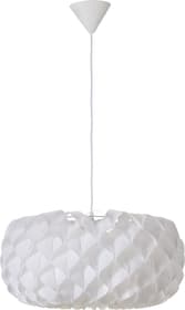ALICE Suspension ALICE Suspension 420824300000 Photo no. 1