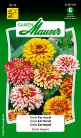 Samen Mauser Zinnie Carrousel Blumensamen Zinnie Carrousel Blumensamen Samen Mauser 650108403000 Inhalt 1 g (ca. 50 Pflanzen oder 3 - 4 m² ) Bild Nr. 1