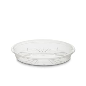 SAUCER Piattino SAUCER Piattino 382023400000 Dimensioni L: 21.0 cm x P: 21.0 cm x A: 3.1 cm Colore Trasparente N. figura 1