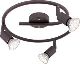 Globo Strahler OLIWA 3Flg. Strahler OLIWA 3Flg. Globo 615146300000 Bild Nr. 1