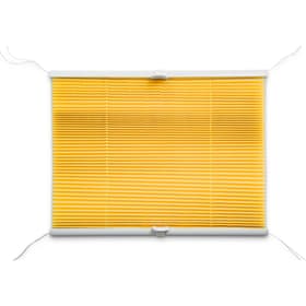 BASIC Tenda plissetata BASIC Tenda plissetata 372103900000 Dimensioni L: 100.0 cm x A: 160.0 cm Colore Giallo N. figura 1