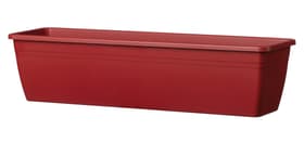 Deroma Miramare Cassetta per fiori Miramare Cassetta per fiori Deroma 658709000000 Colore Rosso Taglio L: 40.0 cm x L: 17.0 cm x A: 14.5 cm N. figura 1
