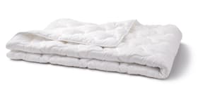 BAMBUS medium warm Couette chaude pour toute l’année en fibres de bambou BAMBUS medium warm Couette chaude pour toute l’année en fibres de bambou 451749712310 Couleur Blanc Dimensions L: 160.0 cm x P: 210.0 cm Photo no. 1