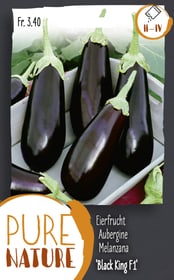 Do it + Garden Eierfrucht 'Black King F1' früh 50k Gemüsesamen Eierfrucht 'Black King F1' früh 50k Gemüsesamen Do it + Garden 287119100000 Bild Nr. 1