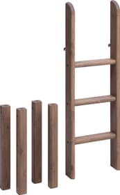 Flexa CLASSIC Gerade Leiter inkl. Pfosten Halbhochbett CLASSIC Gerade Leiter inkl. Pfosten Halbhochbett Flexa 404919000000 Grösse B: 41.0 cm x T: 11.0 cm x H: 120.0 cm Farbe Terra Bild Nr. 1