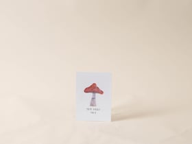 You're a really Fun-Gi Postkarte You're a really Fun-Gi Postkarte 657807000000 Bild Nr. 1