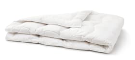 SANADAUN medium warm Couette pour toute l’année, de qualité supérieure, avec 90% de duvet d’oie et protection anti-acariens SANADAUN medium warm Couette pour toute l’année, de qualité supérieure, avec 90% de duvet d’oie et protection anti-acariens 451747612310 Couleur Blanc Dimensions L: 160.0 cm x P: 210.0 cm Photo no. 1