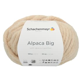 Lana Alpaca Big Lana Alpaca Big 667091800020 Taglio L: 15.0 cm x L: 15.0 cm x A: 10.0 cm Colore Beige N. figura 1