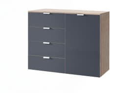 ORSON Cassettone ORSON Cassettone 404484000000 Dimensioni L: 100.0 cm x P: 42.0 cm x A: 80.0 cm Colore Vetro grigio N. figura 1