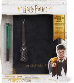 Riddles Journal Harry Potter Peinture Riddles Journal Harry Potter Peinture 747494000000 Photo no. 1