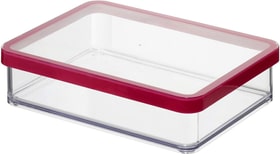 Rotho LOFT rechteckige Vorratsdose 1l mit Deckel und Dichtung, Kunststoff (SAN) BPA-frei, transparent/rot Küche LOFT rechteckige Vorratsdose 1l mit Deckel und Dichtung, Kunststoff (SAN) BPA-frei, transparent/rot Küche Rotho 604061900000 Bild Nr. 1