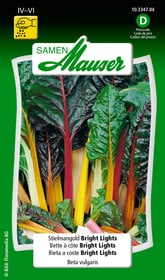 Stielmangold Bright Lights Gemüsesamen Samen Mauser 650115601000 Inhalt 5 g (ca. 60 Pflanzen oder 5 m²) Bild Nr. 1