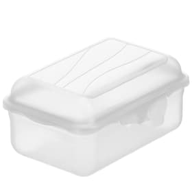 FUN Boîte à goûter 0,4 l, plastique (PP) sans BPA, transparent Boîte à goûter Rotho 674360500000 Photo no. 1