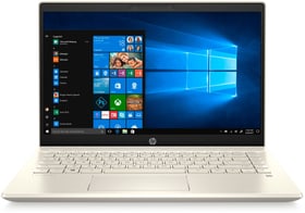 HP Pavilion x360 14-dw0550nz Convertible Pavilion x360 14-dw0550nz Convertible HP 785300154696 Bild Nr. 1